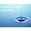 觷ҹ  к⻹ԡ 觹  hydroponics