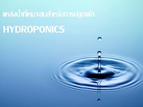 แหล่งที่มาน้ำ น้ำ ระบบไฮโดรโปนิกส์ แหล่งน้ำ ใช้น้ำอะไร hydroponics