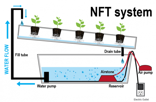 ระบบไฮโดร NFT รางปลูกผักไฮโดร ไฮโดรโปนิกส์