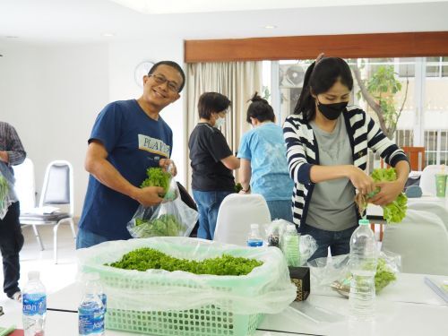 อบรมปลูกผัก เรียนปลูกผัก ไร้ดิน ไฮโดรโปนิกส์ เรียนการปลูกผัก สอนปลูกผัก