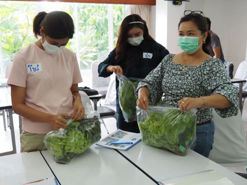 อบรมปลูกผัก เรียนปลูกผัก ไร้ดิน ไฮโดรโปนิกส์ เรียนการปลูกผัก สอนปลูกผัก